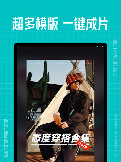 鹌鹑巢藏星露珠壁纸